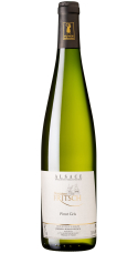 Pinot Gris, Alsace AOC